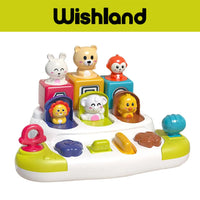 WISHLAND Pop Up Cause and Effect Toy for Toddlers