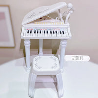 BAOLI Little Musician Piano Educational Keyboard Music Toy for Kids by WISHLAND