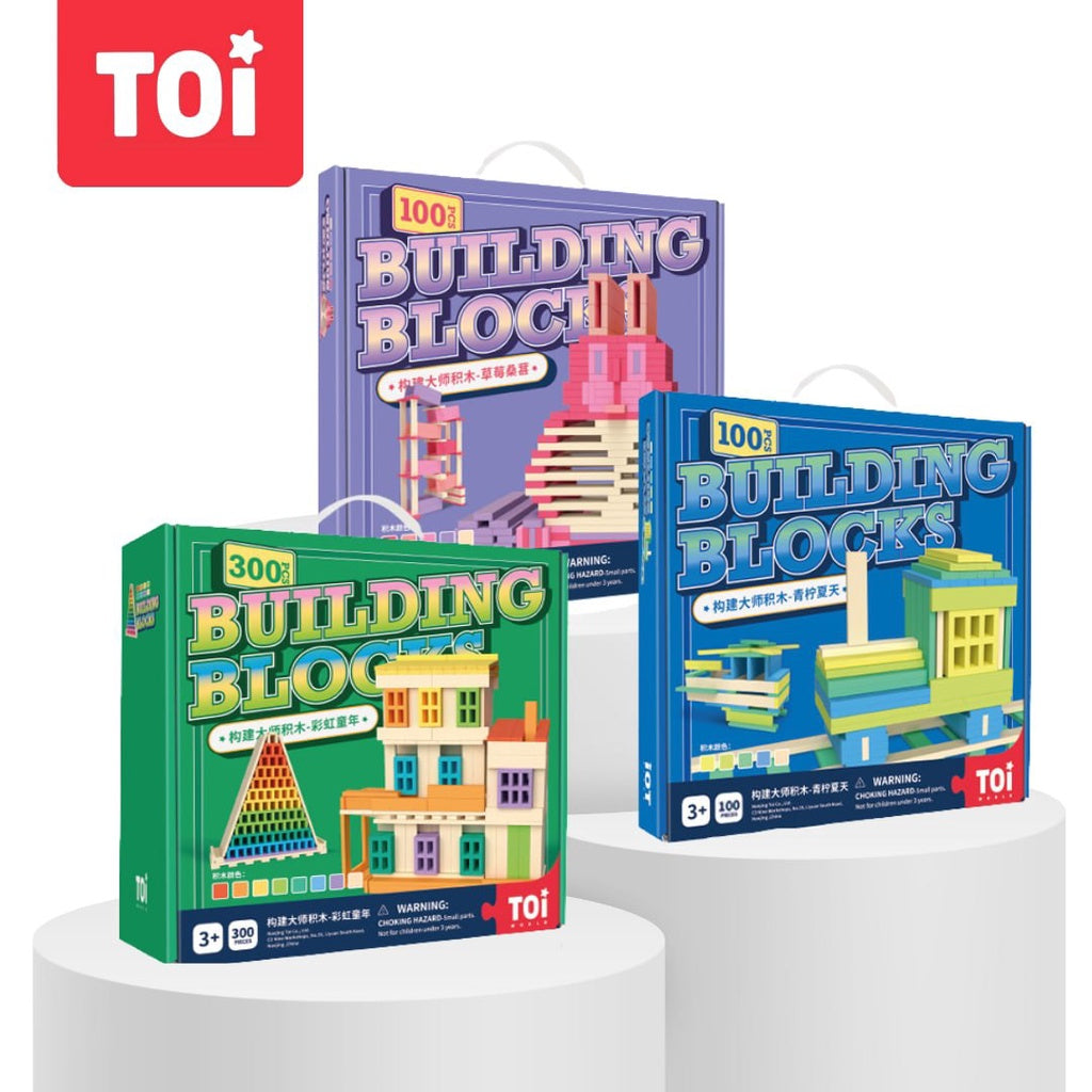 TOI Building Master Blocks Wooden Colored Stacking Blocks for Kids