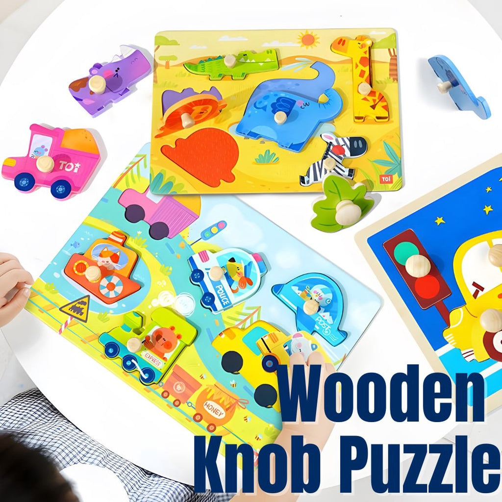 TOI Wooden Knob Puzzle Educational Wooden Peg Puzzles for Kids