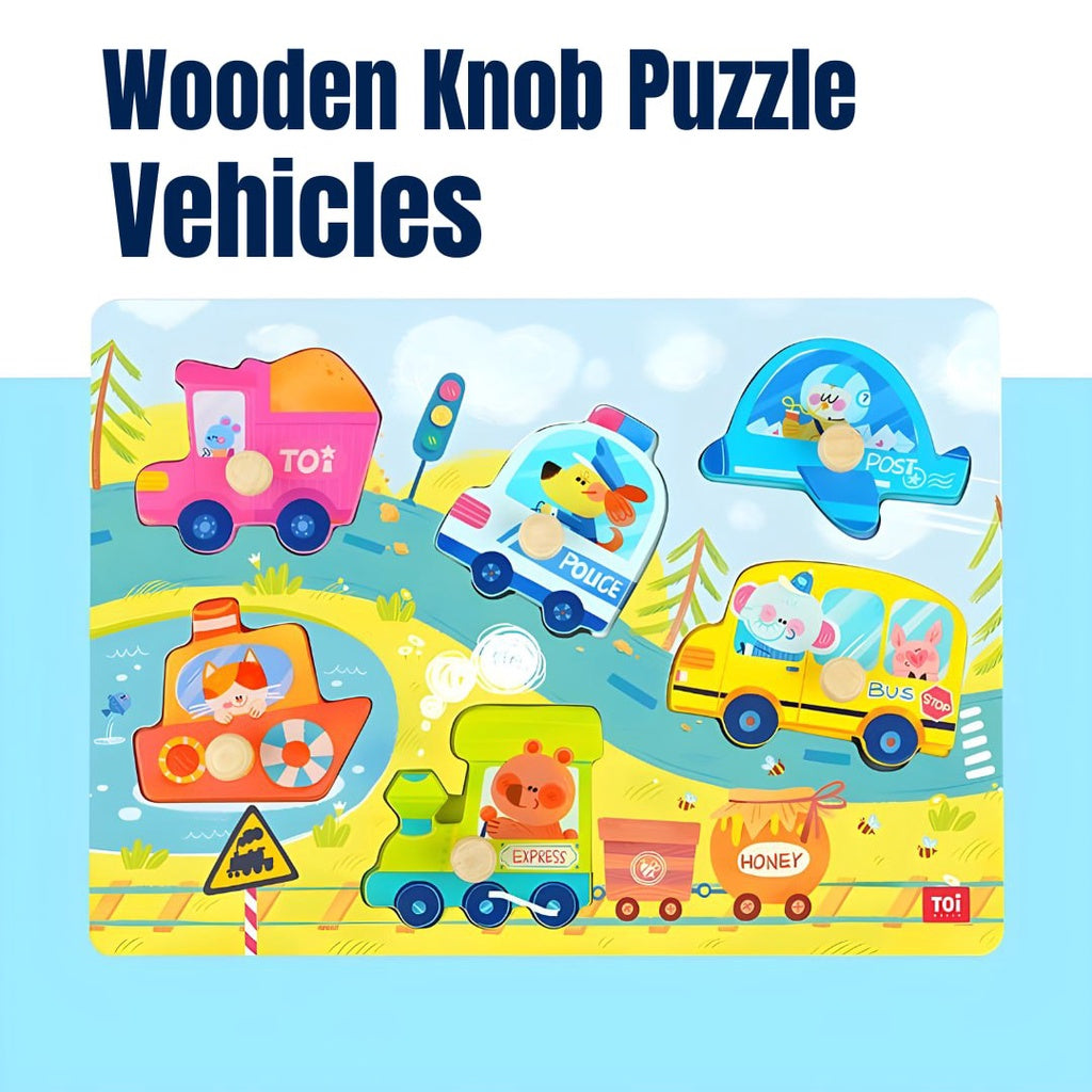 TOI Wooden Knob Puzzle Educational Wooden Peg Puzzles for Kids